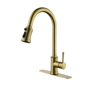 Single Handle High Arc Pull Out Kitchen Faucet,Single Level Stainless Steel Kitchen Sink Faucets with Pull Down Sprayer (Color: as Pic)